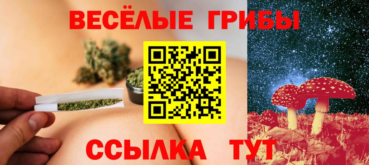 Галлюциногенные грибы GOLDEN TEACHER  продажа наркотиков  Самара  Галлюциногенные грибы Psilocybe  Вход с VPN 