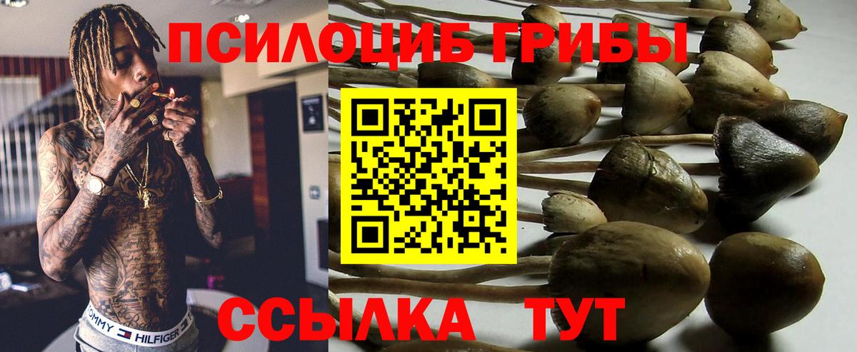Галлюциногенные грибы Magic Shrooms Самара